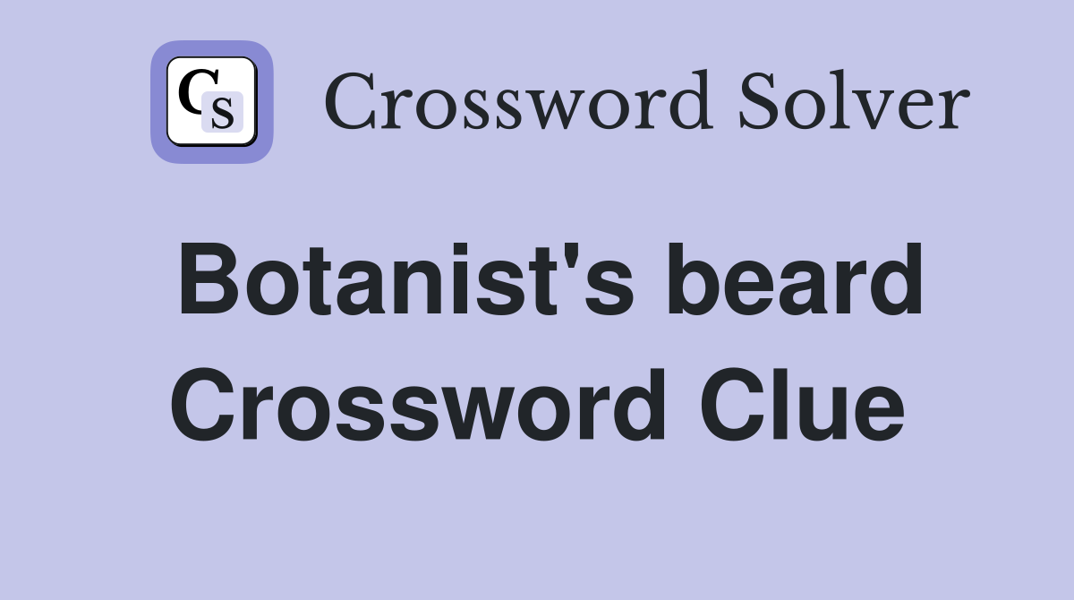 Botanist's beard Crossword Clue