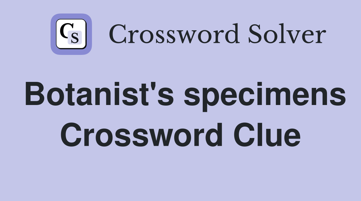 Botanist's specimens Crossword Clue