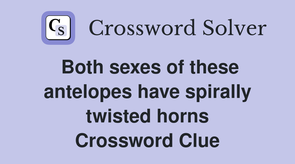 Both sexes of these antelopes have spirally twisted horns Crossword Clue