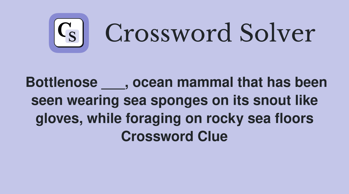 Bottlenose ___, ocean mammal that has been seen wearing sea sponges on its snout like gloves, while foraging on rocky sea floors Crossword Clue