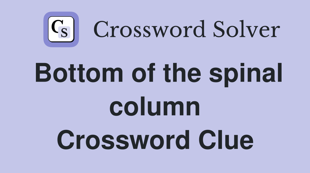 Bottom of the spinal column Crossword Clue