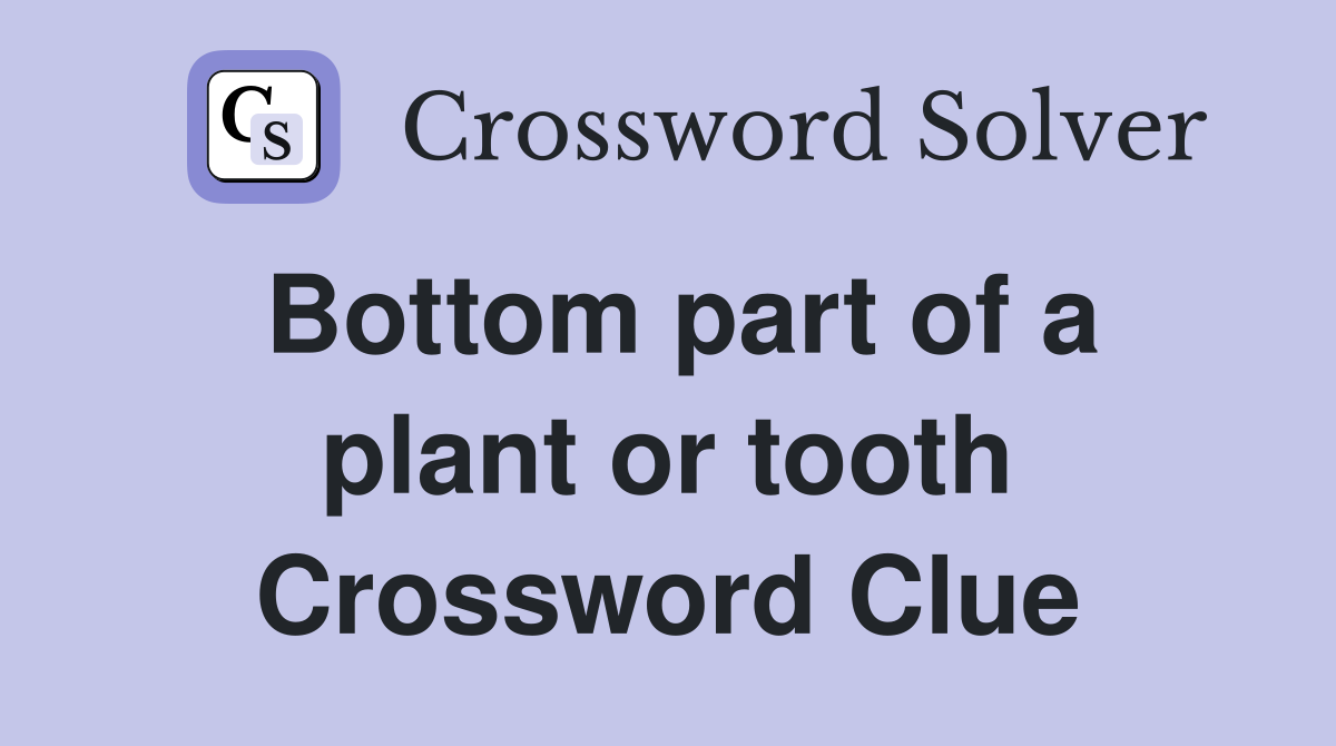 Bottom part of a plant or tooth Crossword Clue
