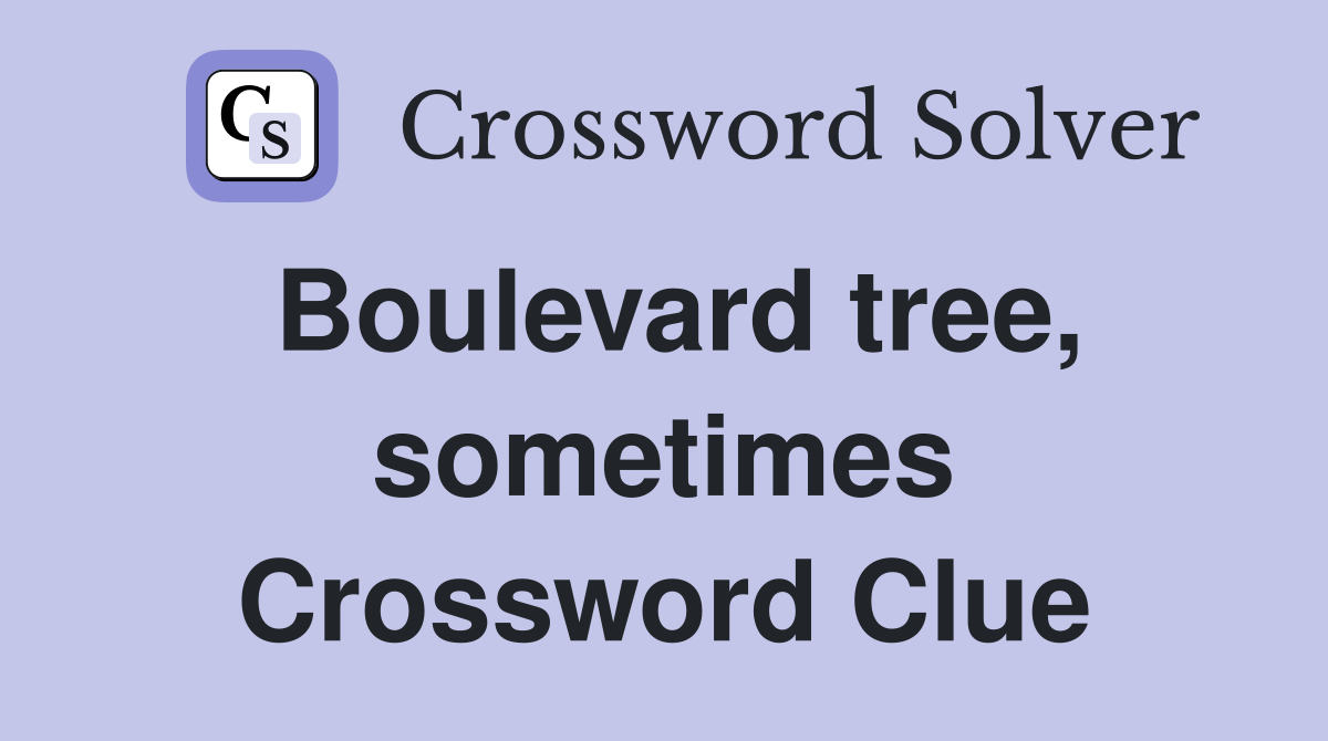 Boulevard tree, sometimes Crossword Clue