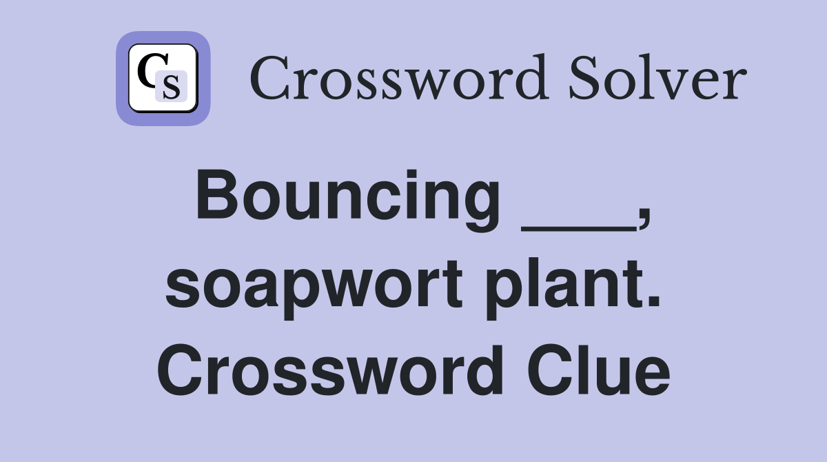 Bouncing ___, soapwort plant. Crossword Clue