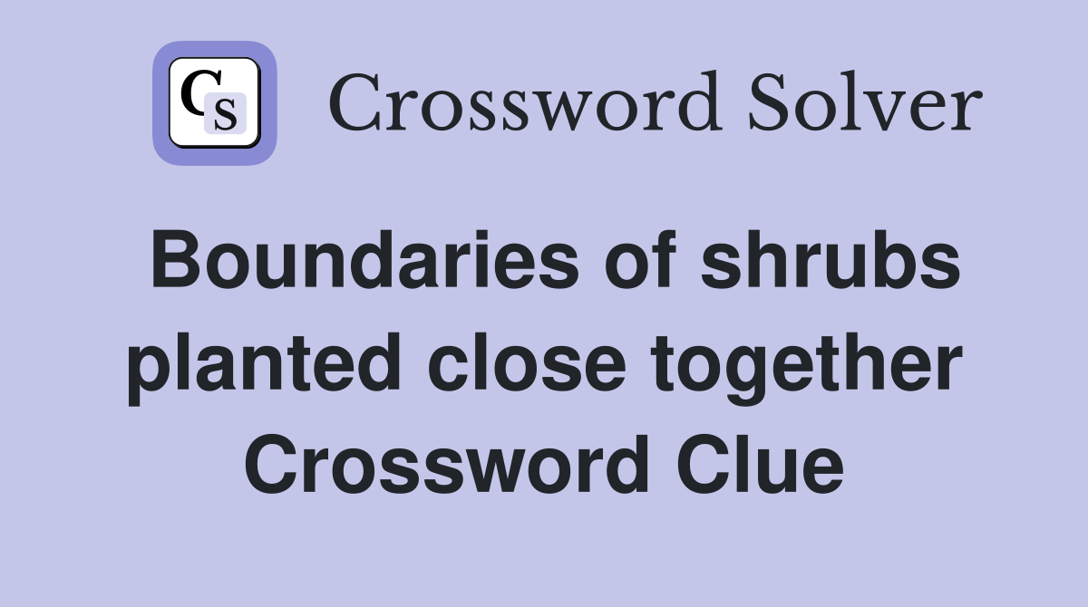 Boundaries of shrubs planted close together Crossword Clue