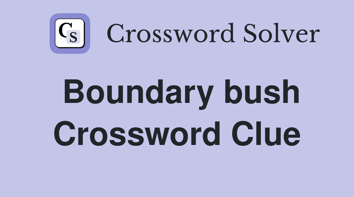 Boundary bush Crossword Clue
