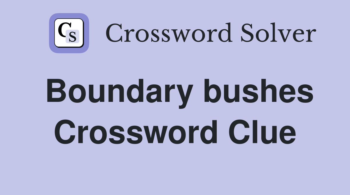Boundary bushes Crossword Clue