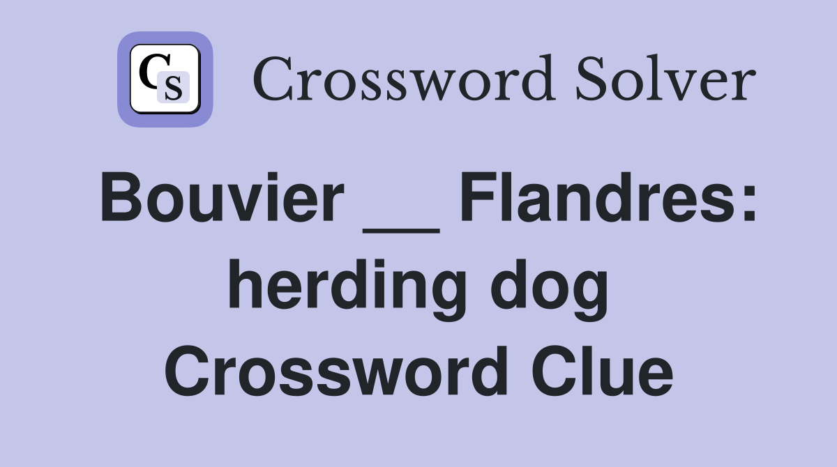 Bouvier __ Flandres: herding dog Crossword Clue