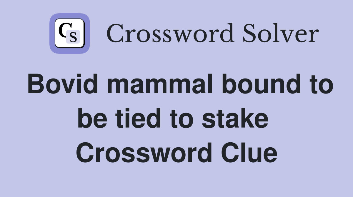Bovid mammal bound to be tied to stake  Crossword Clue