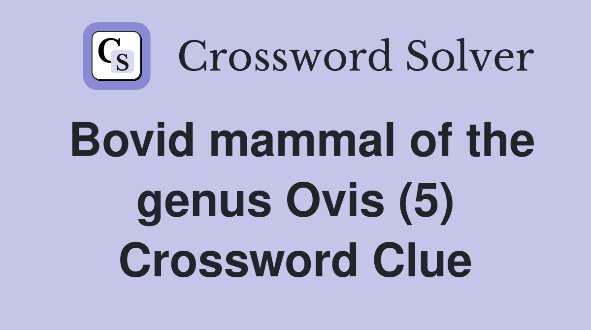 Bovid mammal of the genus Ovis (5) Crossword Clue