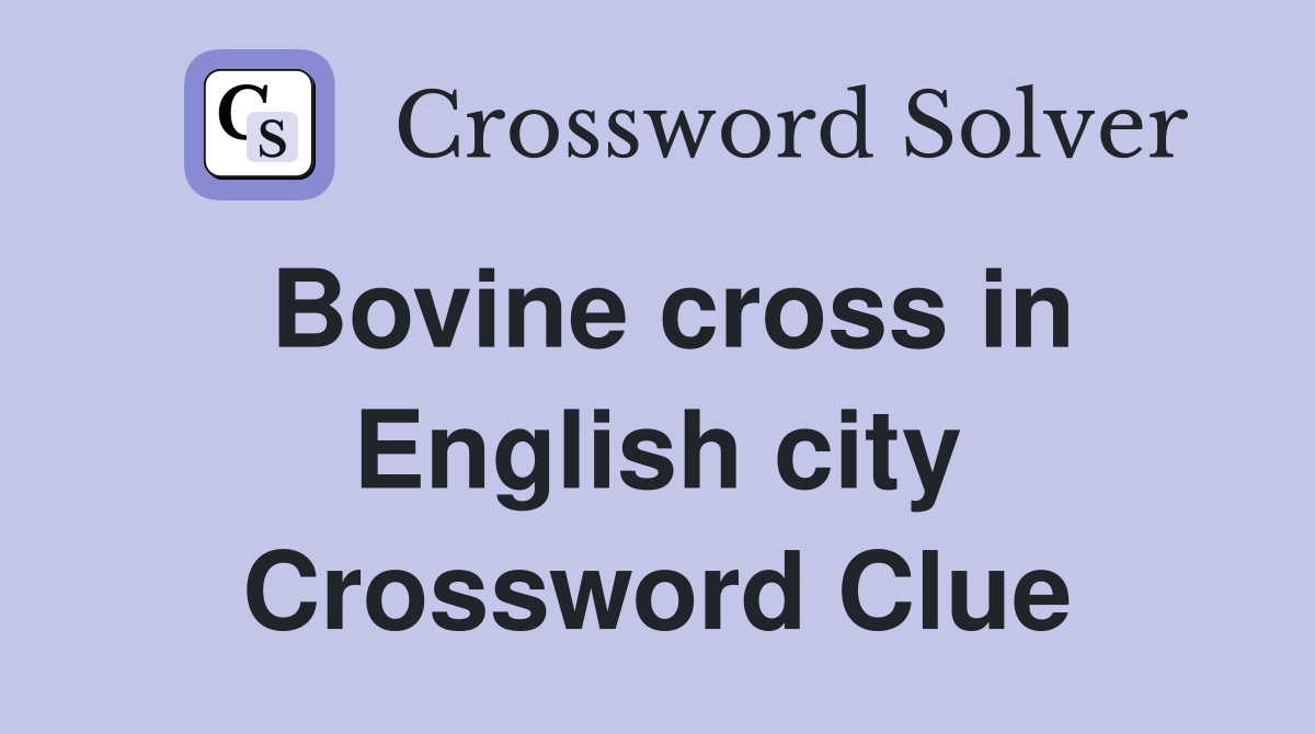 Bovine cross in English city Crossword Clue