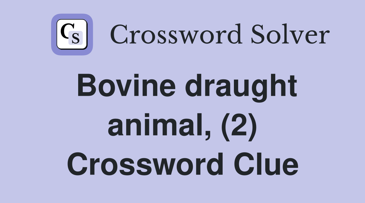 Bovine draught animal, (2) Crossword Clue