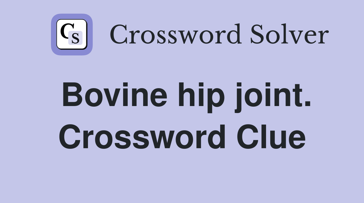 Bovine hip joint. Crossword Clue