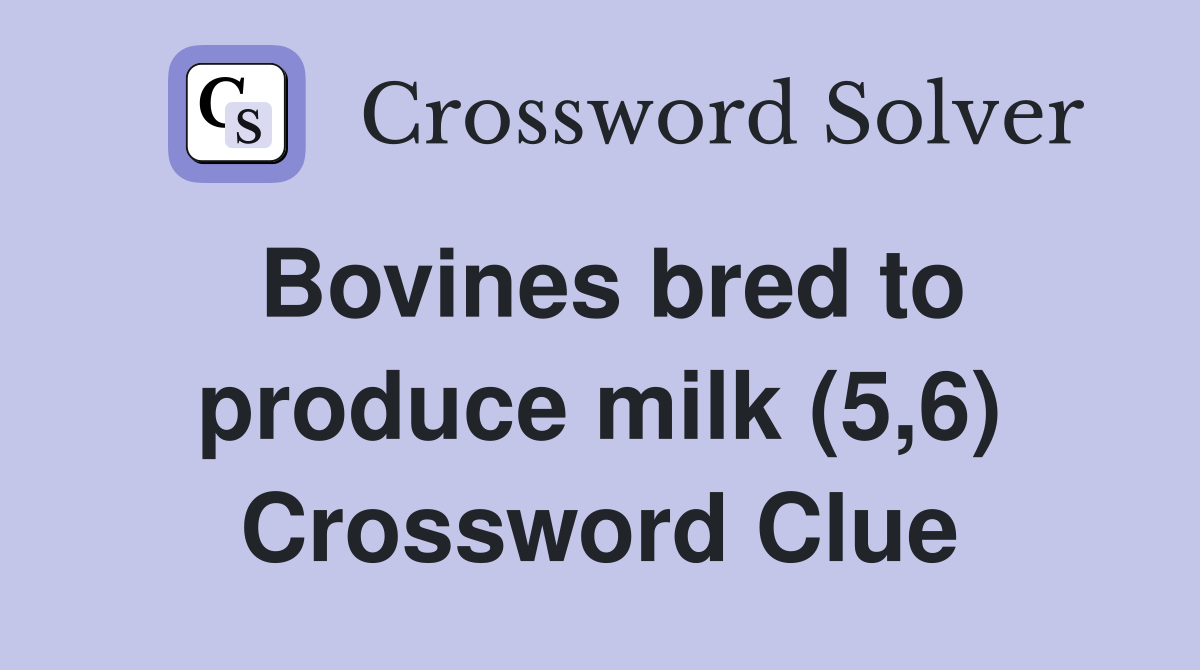 Bovines bred to produce milk (5,6) Crossword Clue