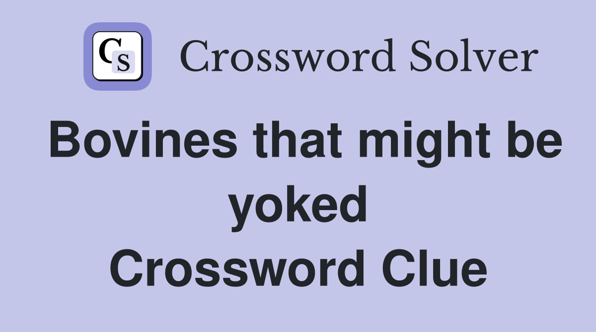 Bovines that might be yoked Crossword Clue