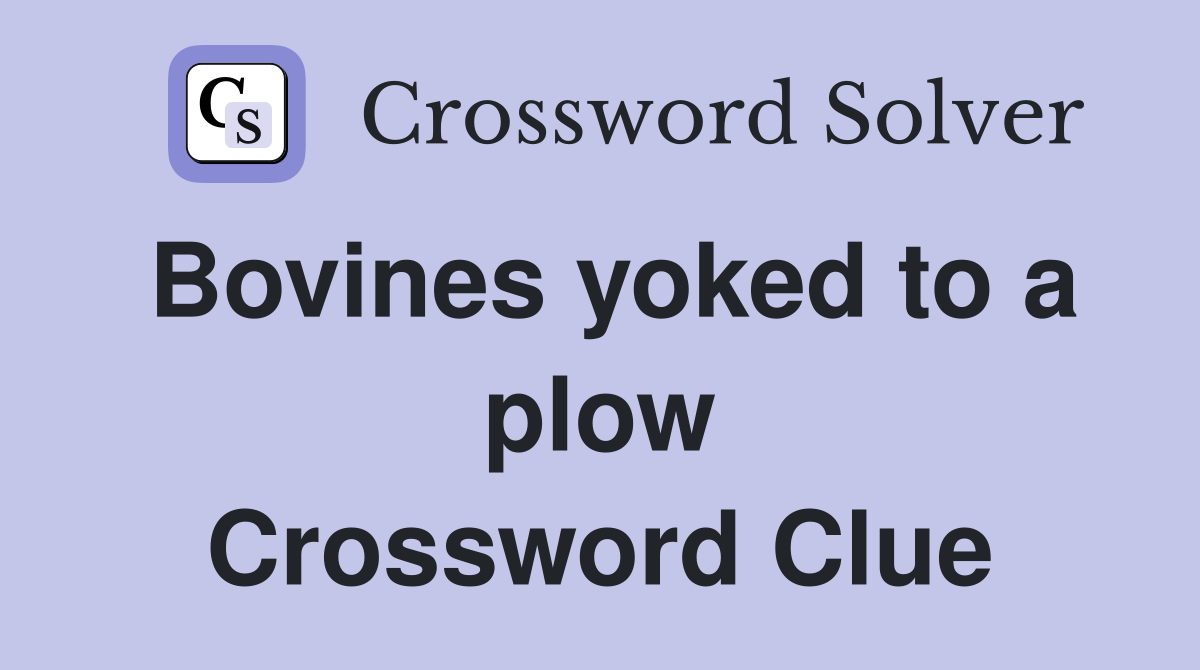 Bovines yoked to a plow Crossword Clue
