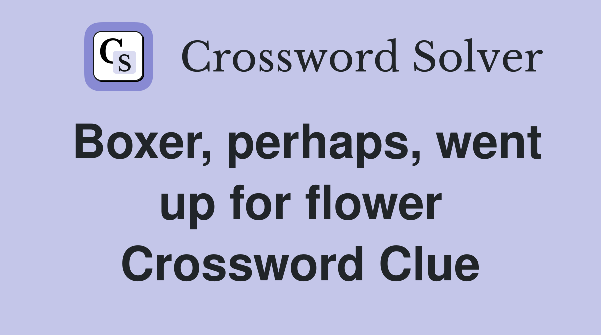 Boxer, perhaps, went up for flower Crossword Clue