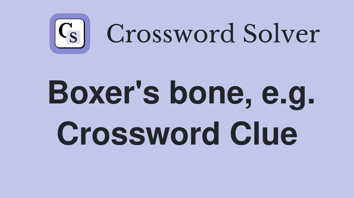 Boxer's bone, e.g. Crossword Clue