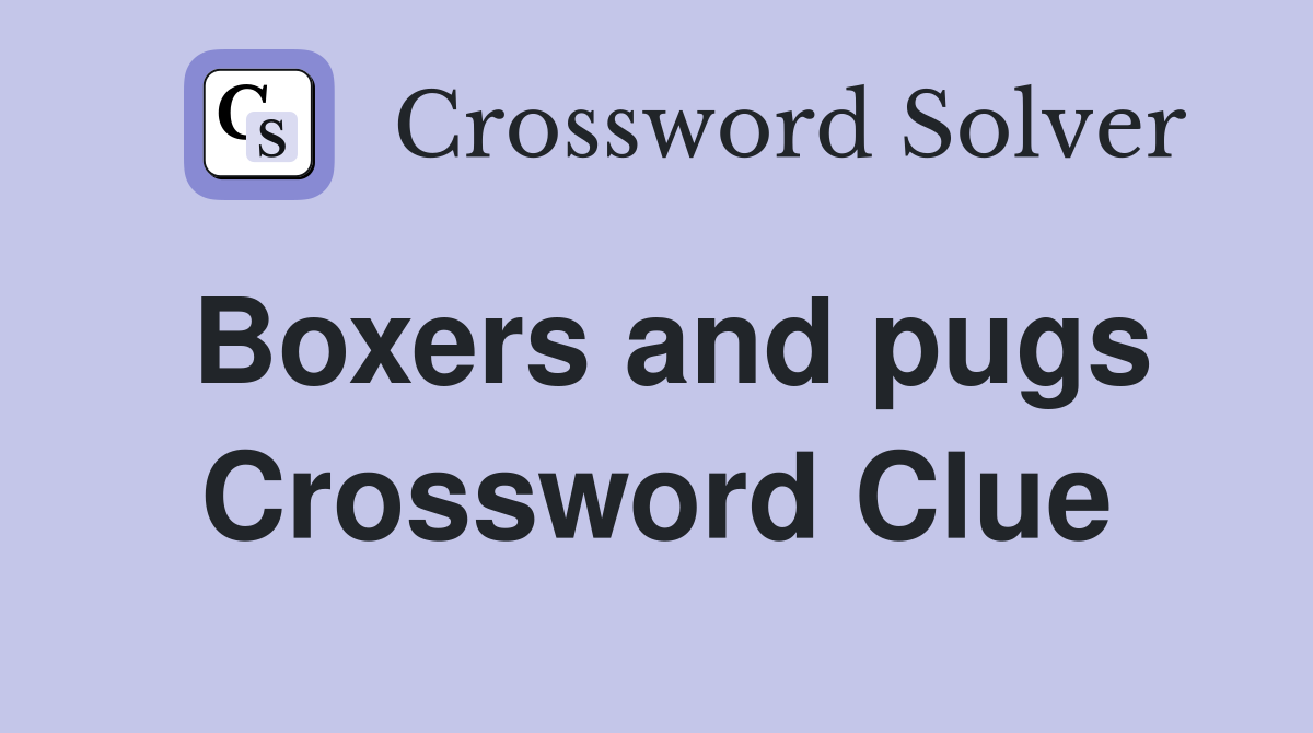 Boxers and pugs Crossword Clue