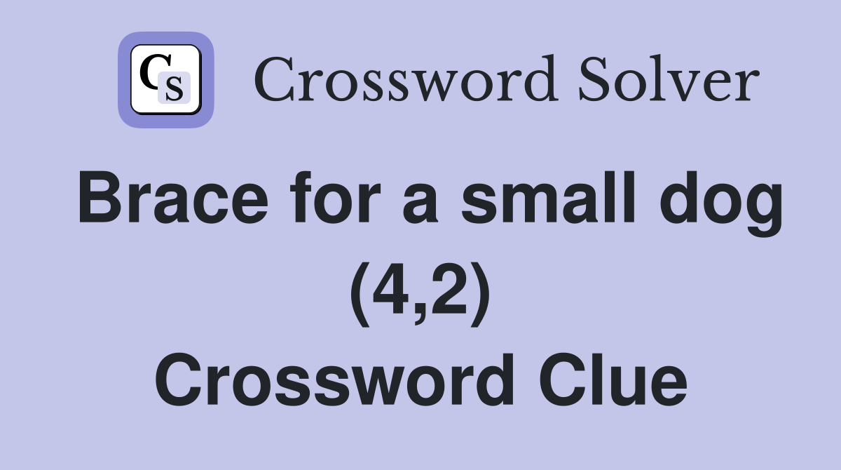 Brace for a small dog (4,2) Crossword Clue