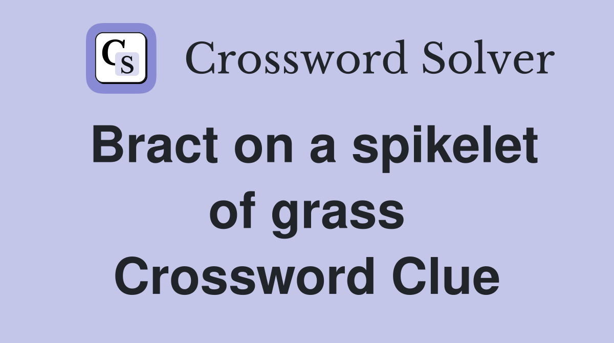 Bract on a spikelet of grass Crossword Clue