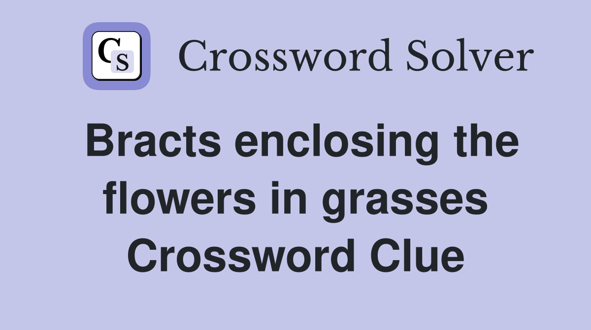 Bracts enclosing the flowers in grasses Crossword Clue