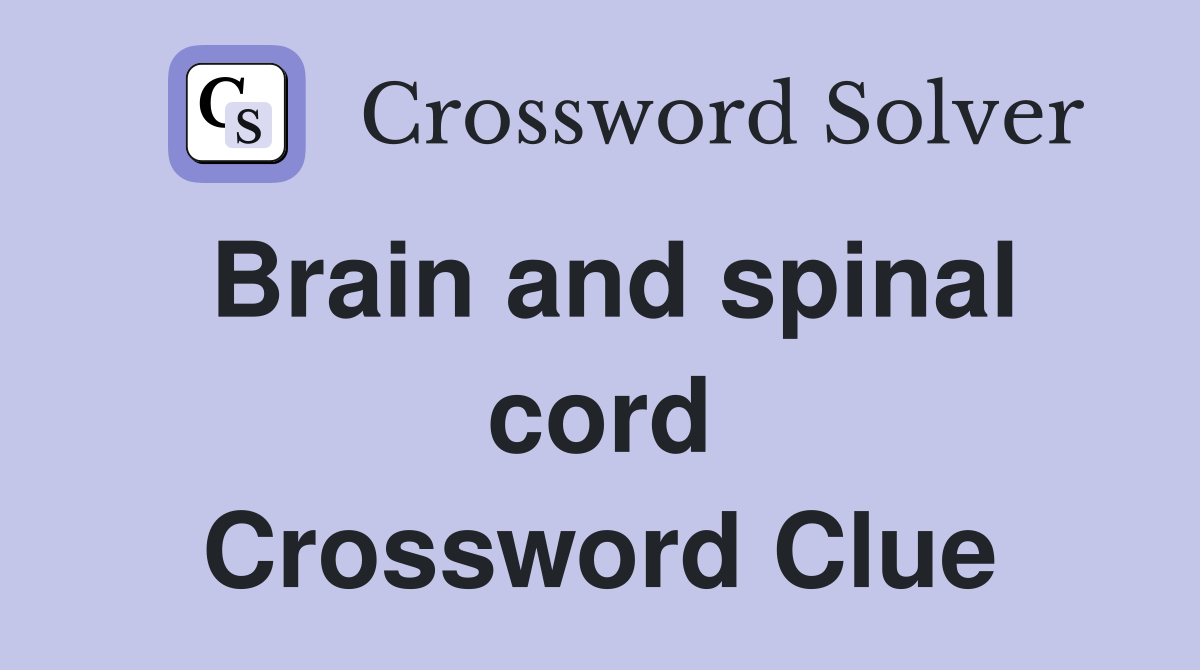 Brain and spinal cord Crossword Clue