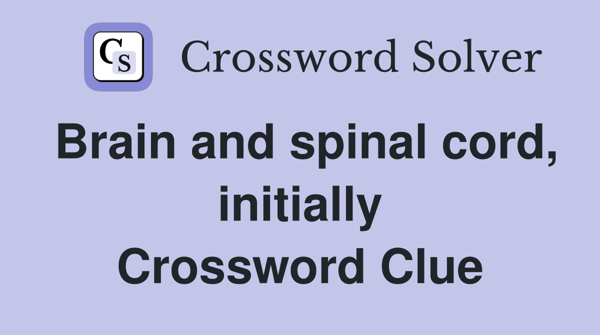 Brain and spinal cord, initially Crossword Clue