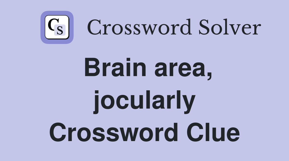 Brain area, jocularly Crossword Clue