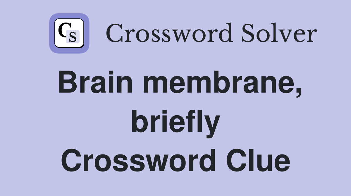 Brain membrane, briefly Crossword Clue