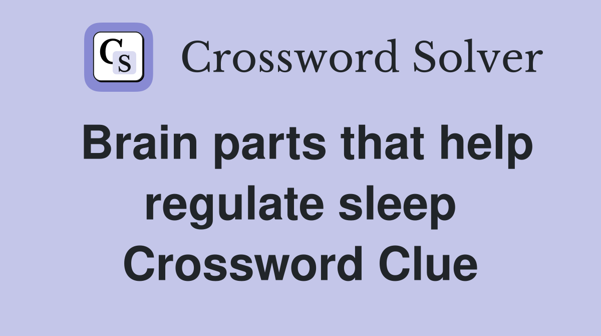 Brain parts that help regulate sleep Crossword Clue