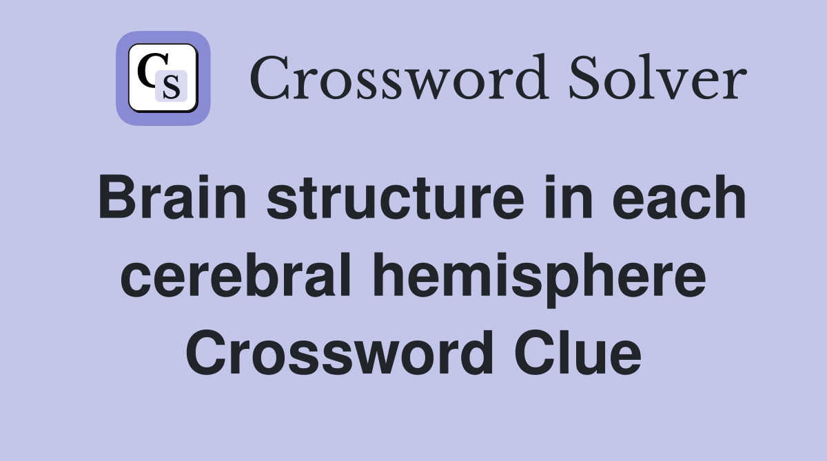 Brain structure in each cerebral hemisphere Crossword Clue