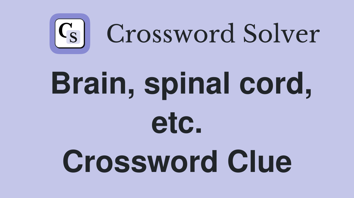 Brain, spinal cord, etc. Crossword Clue