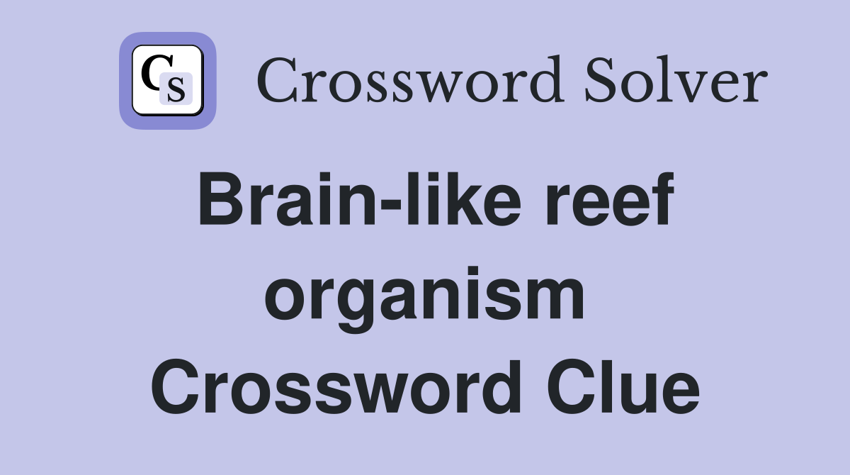 Brain-like reef organism Crossword Clue