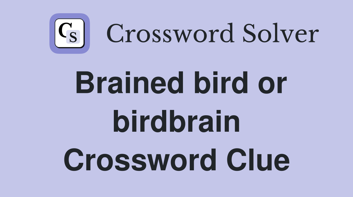 Brained bird or birdbrain Crossword Clue