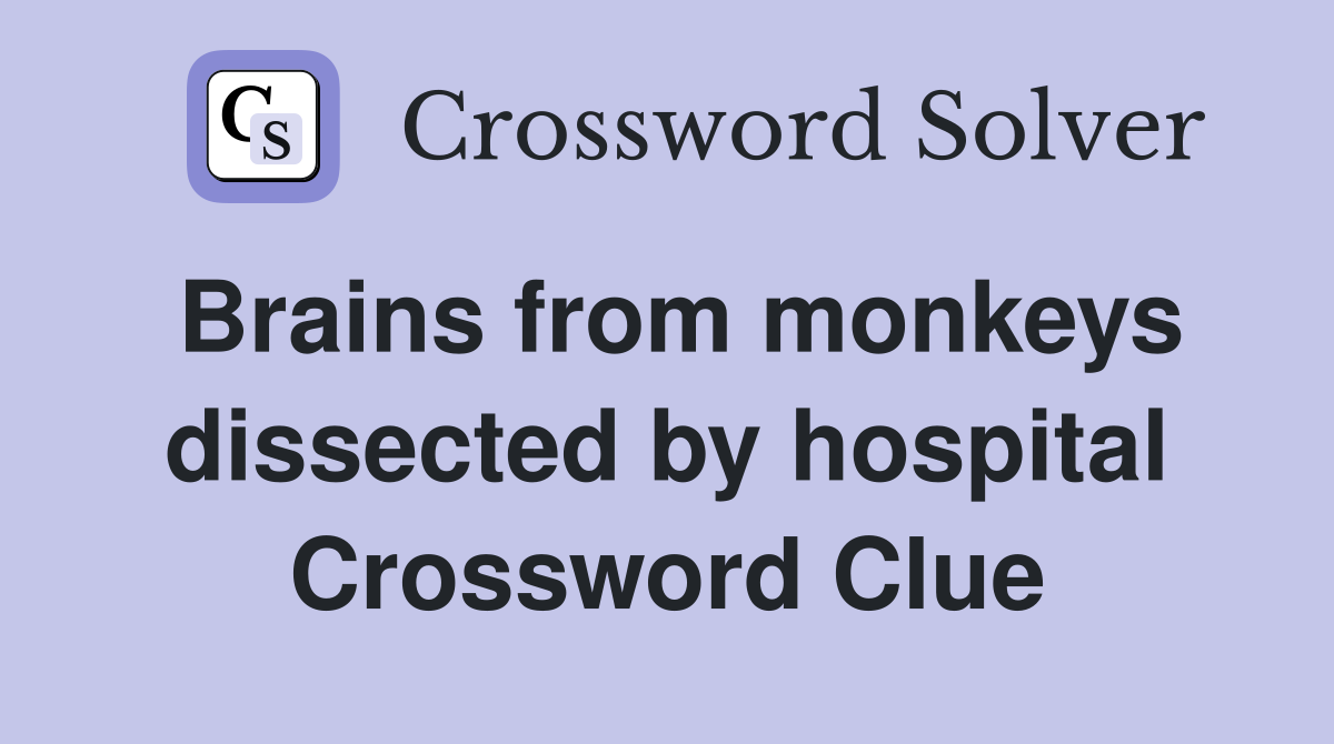 Brains from monkeys dissected by hospital Crossword Clue