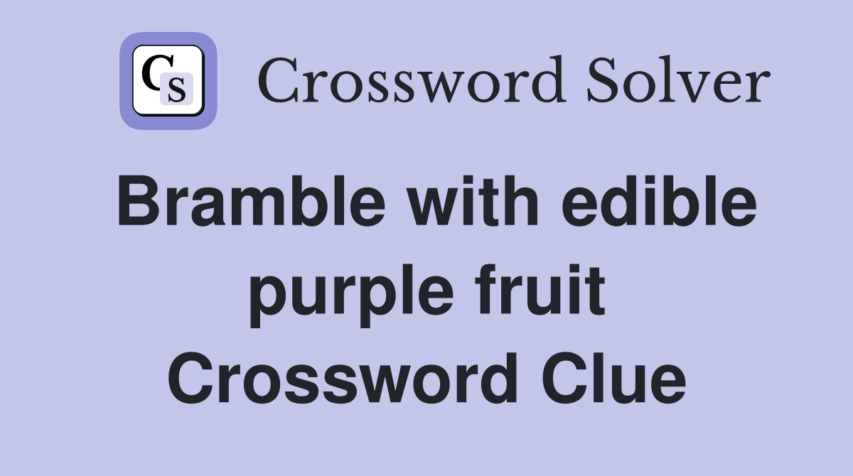 Bramble with edible purple fruit Crossword Clue