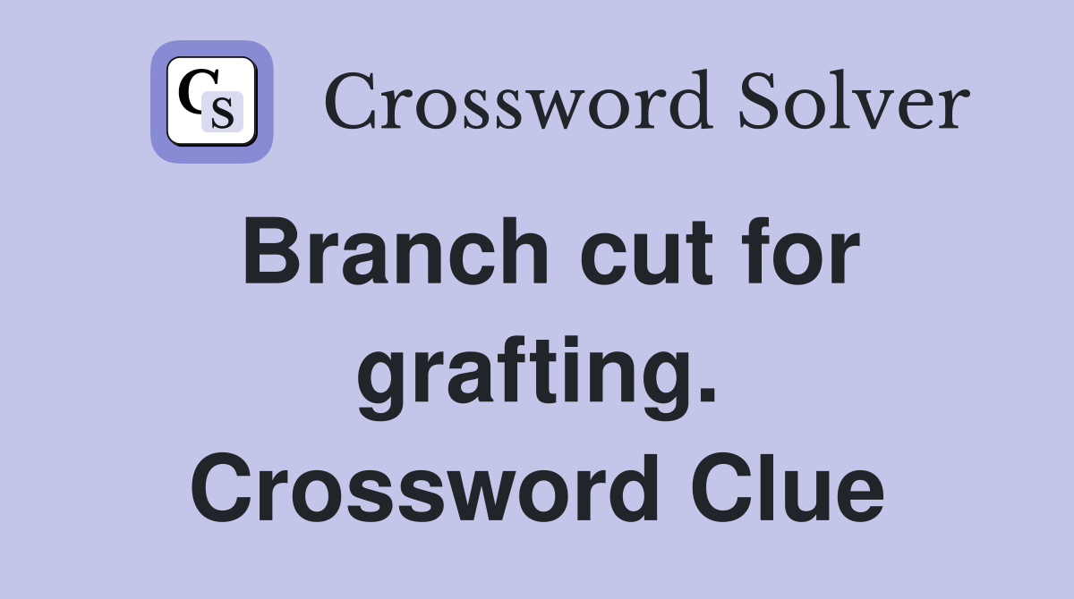 Branch cut for grafting. Crossword Clue