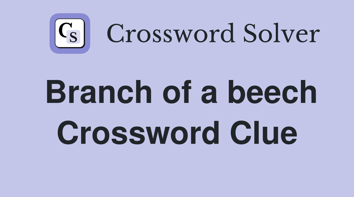 Branch of a beech Crossword Clue