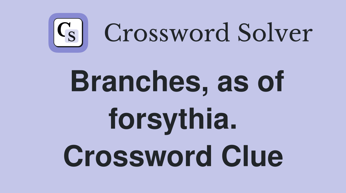 Branches, as of forsythia. Crossword Clue