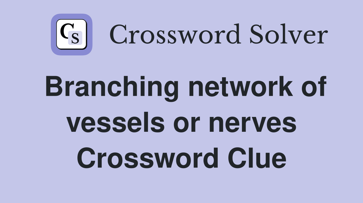 Branching network of vessels or nerves Crossword Clue