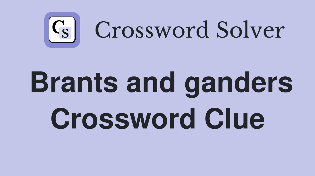 Brants and ganders Crossword Clue
