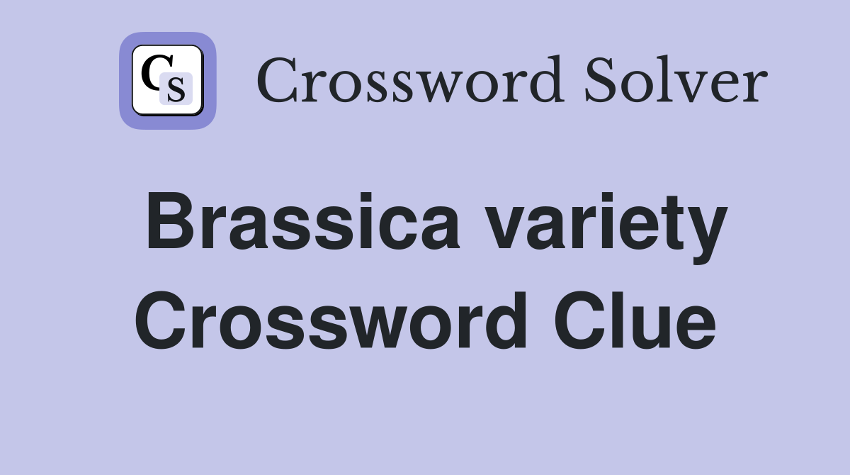 Brassica variety Crossword Clue