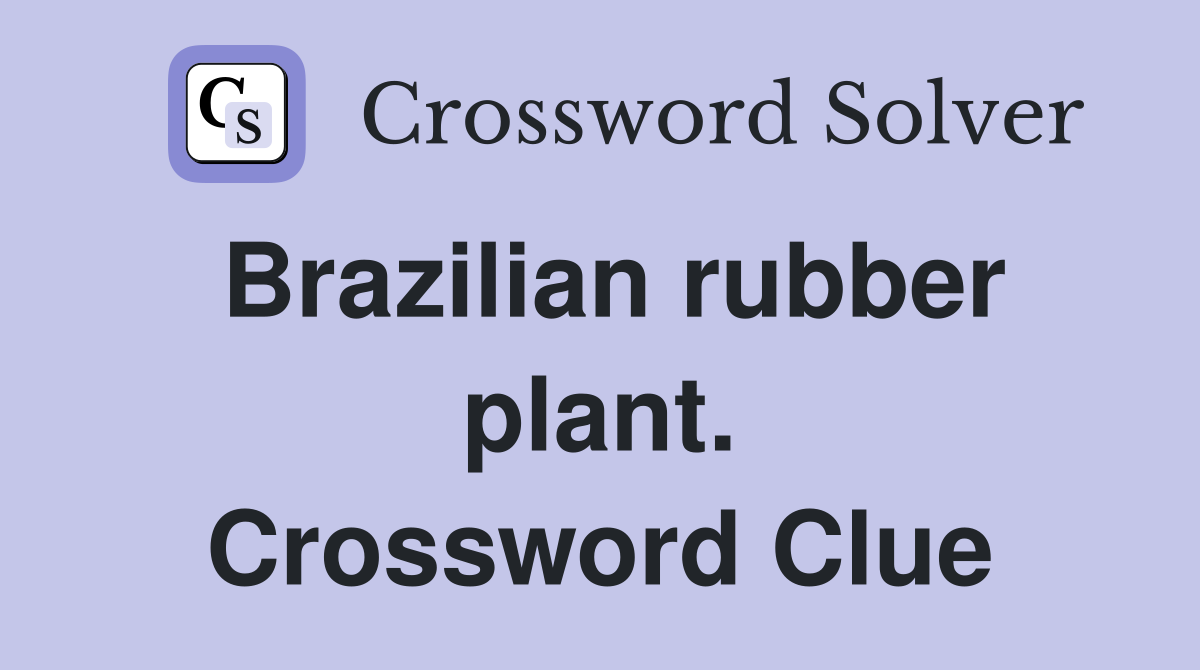 Brazilian rubber plant. Crossword Clue