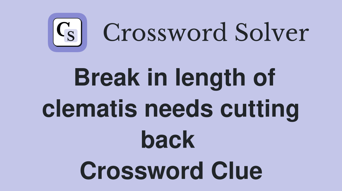 Break in length of clematis needs cutting back  Crossword Clue