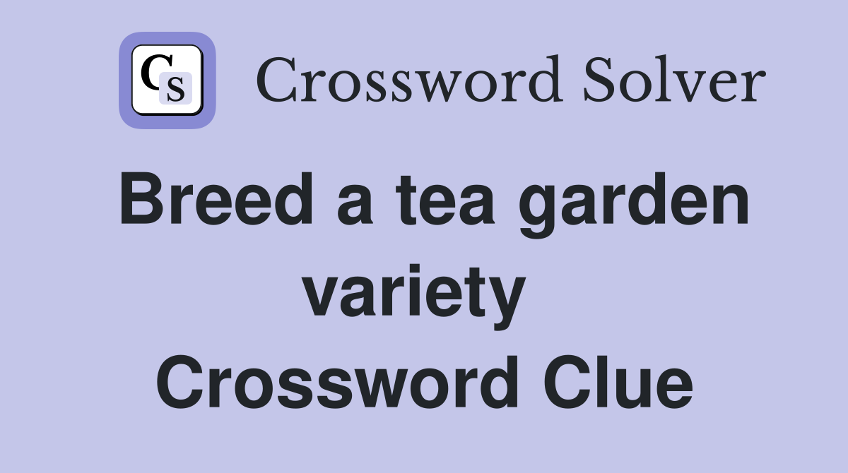 Breed a tea garden variety  Crossword Clue
