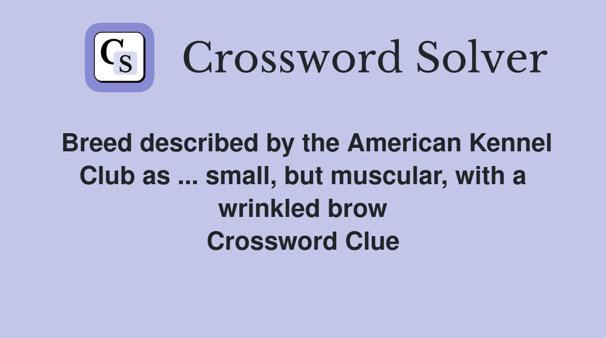 Breed described by the American Kennel Club as ... small, but muscular, with a wrinkled brow Crossword Clue