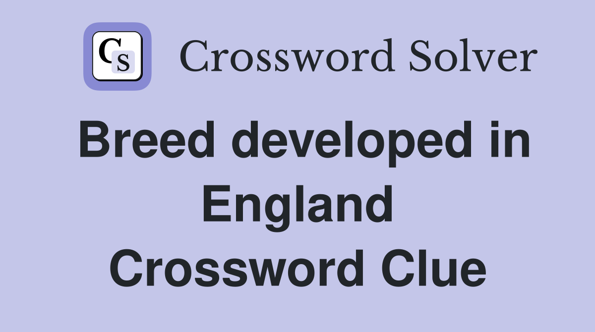 Breed developed in England Crossword Clue