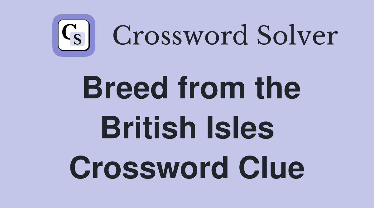 Breed from the British Isles Crossword Clue