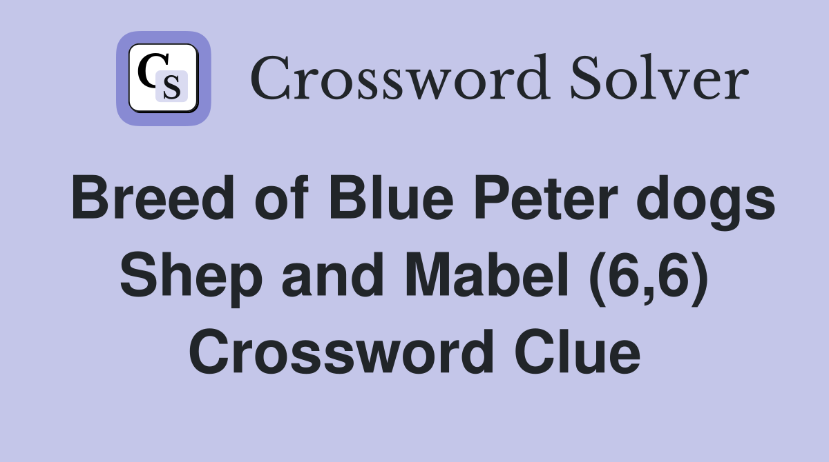 Breed of Blue Peter dogs Shep and Mabel (6,6) Crossword Clue